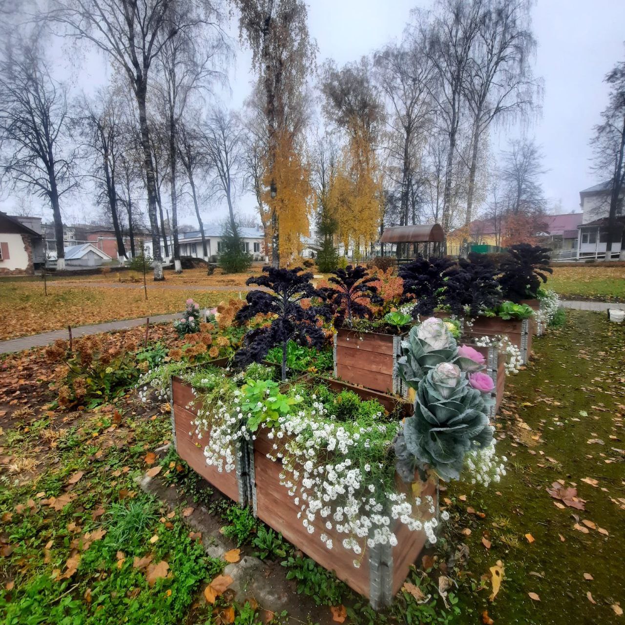 Готовим грядки к зиме Готовим грядки к зиме