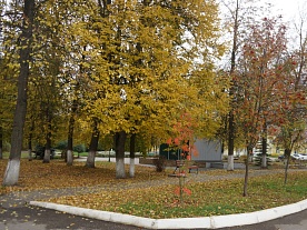 Территория