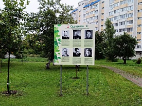 Территория