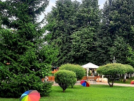 Территория