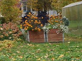 Территория