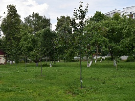 Территория