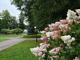 Территория