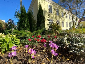 Территория