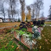 Готовим грядки к зиме