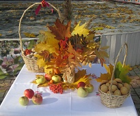 Акция «Посади дерево»