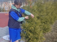 Зеленая терапия