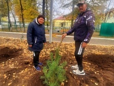 Мы дружно посадили лес!