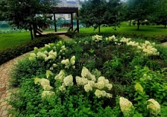 Ах, какие цветочные клумбы!