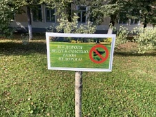 Информационные таблички для порядка и улыбки